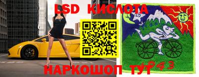 шишки Гусь-Хрустальный