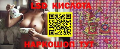 амф Гусев