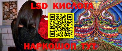 амф Гусев